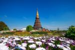 Landmark Pagoda In Doi Inthanon National Park At Chiang Mai, Thailand Stock Photo