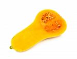 Butternut Squash Isolated Stock Photo