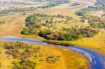 Okavango Delta Aerial View Stock Photo