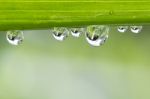 Water Drops In Rainy Day Stock Photo