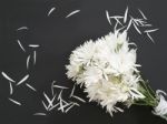 White Flower Bouquet Stock Photo