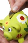 Coin In A Piggy Bank Stock Photo