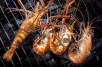 Shrimp Grilled On Barbeque Charcoast Oven Stock Photo