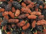 Group Of Mulberry Fruit In Top Close Up View Stock Photo