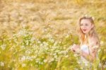 Blond Girl On The Camomile Field Stock Photo