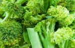 Broccoli Stock Photo