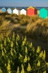 Colourful Beach Huts At Southwold Stock Photo