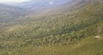 On Top Of Mount Roland In Tasmania During The Day Stock Photo