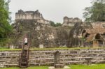 Maya Ruins Of Tikal, Near Flores, Guatemala Stock Photo