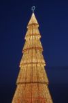 Beautiful Tall Christmas Tree (at Sunset) Stock Photo