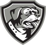 Rottweiler Guard Dog Shield Black And White Stock Photo