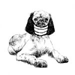 Illustration Of English Setter Dog With Mask Stock Photo