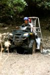 Rider On Quad Bike Stock Photo