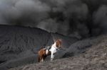 Mount Bromo Stock Photo