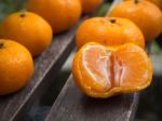 Fresh Orange Stock Photo