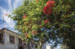 Carnival Decorations On The Streets Of The Historic City Of Para Stock Photo