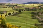 Val D'orcia In Tuscany Stock Photo