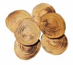 Wood Slices Stock Photo