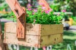 Potted Flowers In Park Stock Photo