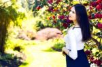 Young Beautiful Woman With Long Straight Dark Hair Posing In Spr Stock Photo