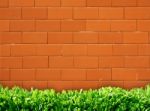 Brick Wall With Grass Floor Stock Photo