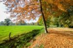 Rural Fall Landscape With Colored Leaves And Green Meadow Stock Photo