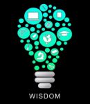 Wisdom Lightbulb Indicates Educational Graduation And Intellect Stock Photo