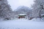 Baekyangsa Temple And Falling Snow, Naejangsan Mountain In Winter With Snow,famous Mountain In Korea.winter Landscape Stock Photo