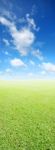 Grass And Sky Background Stock Photo