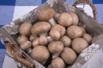 Basket Mushrooms On Colorful Tablecloth Stock Photo