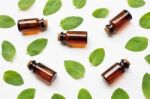 Mint Essential Oil In A Glass Bottle With Leaves Stock Photo