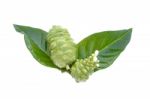 Noni Stock Photo