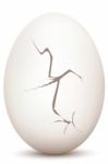 Cracked Egg Stock Photo