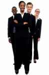 Smiling Business Team Standing Stock Photo