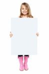 An Adorable Kid Showing Blank Whiteboard Stock Photo