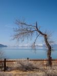 Landscape Of Lake Tahoe Stock Photo