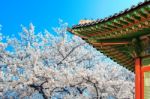 Cherry Blossom With Roof Of Temple In Spring Stock Photo