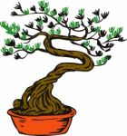 Bonsai Tree Stock Photo