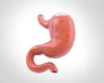 Human Stomach 3d Illustration In Digital Background Stock Photo