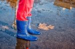 Legs Of Little Girl Standing In A Pool Of Autumn Stock Photo