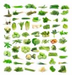 Vegetables Collection Isolated On White Background Stock Photo