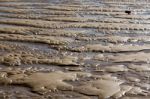 Tide Pools Stock Photo