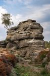 Scenic View Of Brimham Rocks In Yorkshire Dales National Park Stock Photo