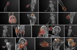 3d Rendering Illustration Of The Skeleton Hand Stock Photo