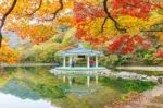 Naejangsan,korea - November 1: Tourists Taking Photos Of The Beautiful Scenery Around Naejangsan Park,south Korea During Autumn Season On November 1, 2015 Stock Photo