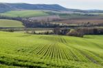 Near Seaford, Sussex/uk - April 5 : View Of  Farmland Near Seafo Stock Photo