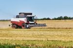 Harvesting Wheat Stock Photo