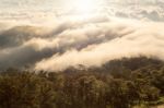 Early Morning Foggy  Sunrise On  Top Of Mountain Soft Focus Grai Stock Photo