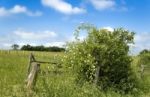 Countryside Stock Photo