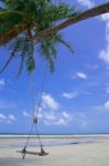 Wood Swing On Beach Stock Photo